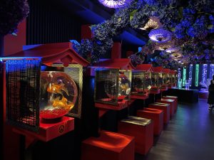 金魚の美術館 アートアクアリウムに行ってみた。 img_8084.jpg