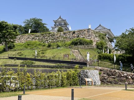 続100名城巡り〜浜松城